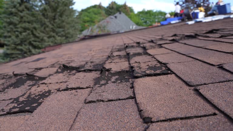 Best Asphalt Shingle Roofing  in Portland, ME